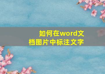 如何在word文档图片中标注文字