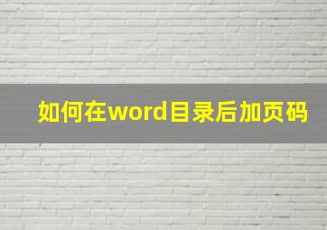 如何在word目录后加页码