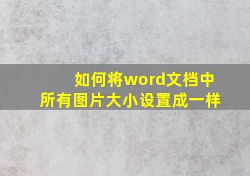 如何将word文档中所有图片大小设置成一样