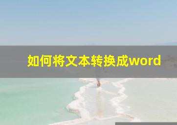 如何将文本转换成word