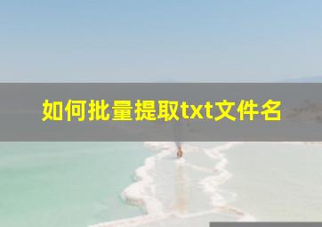 如何批量提取txt文件名