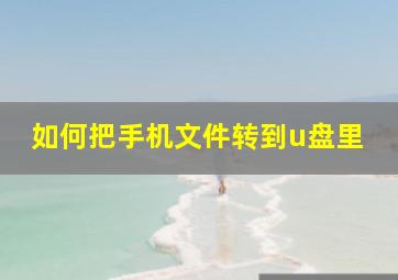 如何把手机文件转到u盘里