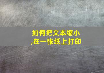 如何把文本缩小,在一张纸上打印