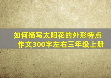 如何描写太阳花的外形特点作文300字左右三年级上册