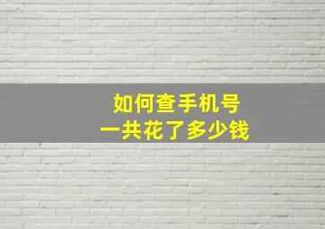 如何查手机号一共花了多少钱