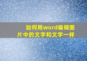 如何用word编辑图片中的文字和文字一样