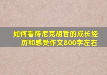 如何看待尼克胡哲的成长经历和感受作文800字左右