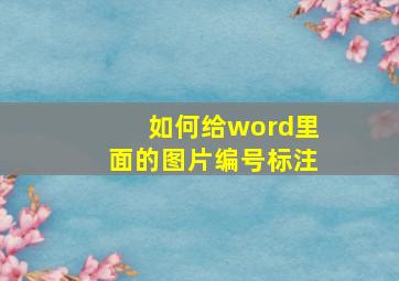 如何给word里面的图片编号标注