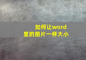 如何让word里的图片一样大小