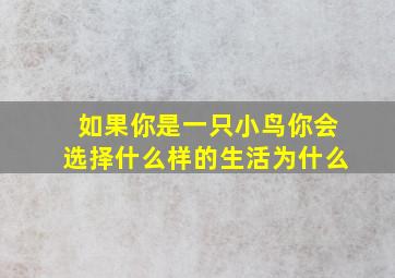 如果你是一只小鸟你会选择什么样的生活为什么