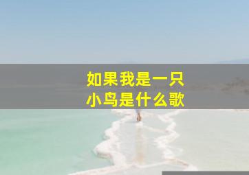 如果我是一只小鸟是什么歌