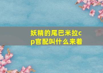 妖精的尾巴米拉cp官配叫什么来着