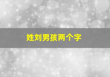 姓刘男孩两个字