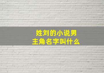 姓刘的小说男主角名字叫什么