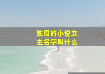 姓周的小说女主名字叫什么