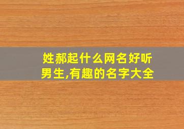 姓郝起什么网名好听男生,有趣的名字大全