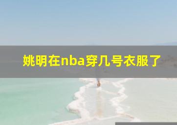 姚明在nba穿几号衣服了