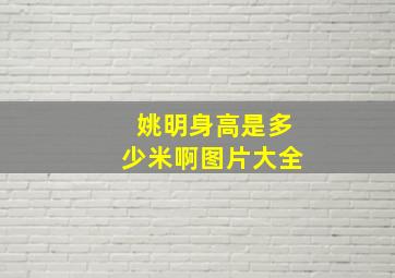 姚明身高是多少米啊图片大全