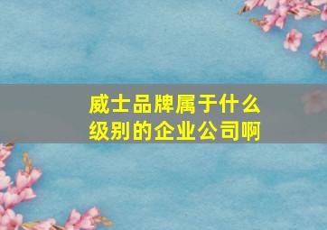 威士品牌属于什么级别的企业公司啊