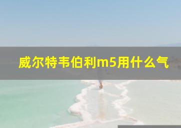 威尔特韦伯利m5用什么气