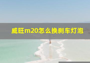 威旺m20怎么换刹车灯泡