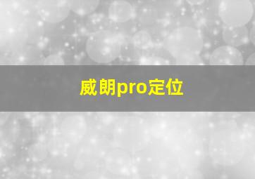 威朗pro定位