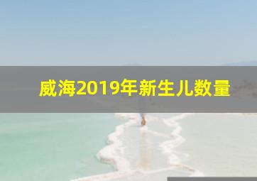 威海2019年新生儿数量