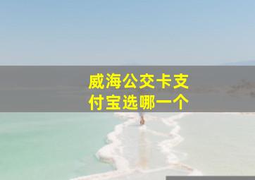 威海公交卡支付宝选哪一个