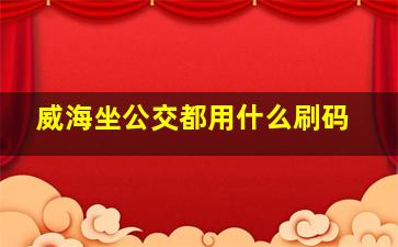 威海坐公交都用什么刷码