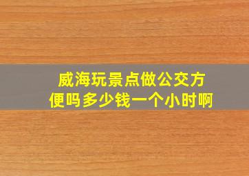 威海玩景点做公交方便吗多少钱一个小时啊