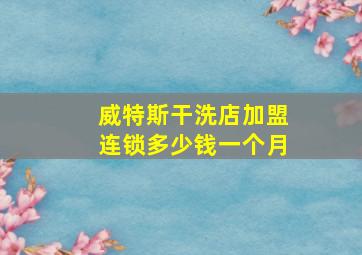 威特斯干洗店加盟连锁多少钱一个月