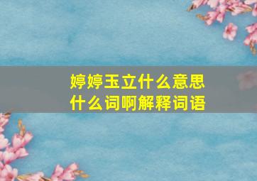 婷婷玉立什么意思什么词啊解释词语