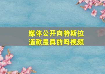 媒体公开向特斯拉道歉是真的吗视频