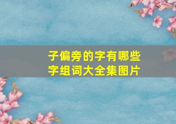 子偏旁的字有哪些字组词大全集图片