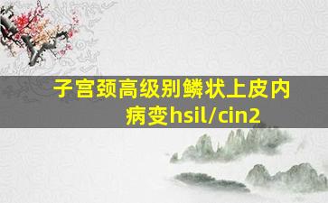 子宫颈高级别鳞状上皮内病变hsil/cin2