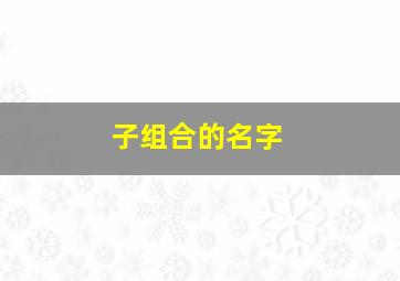 子组合的名字