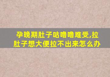 孕晚期肚子咕噜噜难受,拉肚子想大便拉不出来怎么办