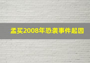 孟买2008年恐袭事件起因