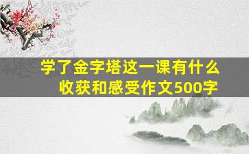 学了金字塔这一课有什么收获和感受作文500字