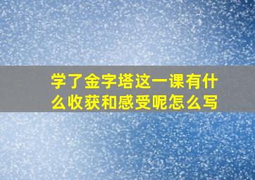 学了金字塔这一课有什么收获和感受呢怎么写