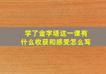 学了金字塔这一课有什么收获和感受怎么写