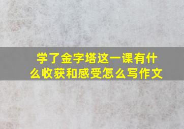 学了金字塔这一课有什么收获和感受怎么写作文