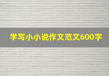 学写小小说作文范文600字