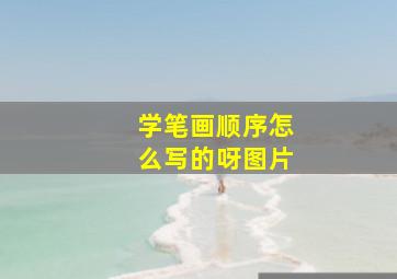 学笔画顺序怎么写的呀图片