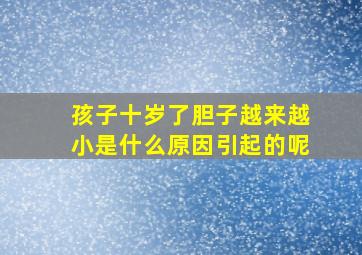 孩子十岁了胆子越来越小是什么原因引起的呢