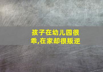 孩子在幼儿园很乖,在家却很叛逆