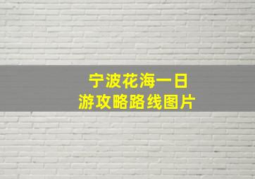 宁波花海一日游攻略路线图片