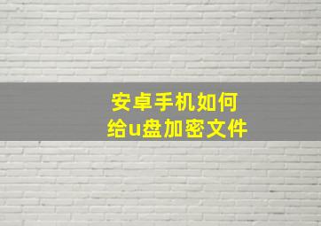 安卓手机如何给u盘加密文件