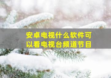 安卓电视什么软件可以看电视台频道节目