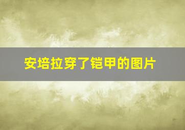 安培拉穿了铠甲的图片